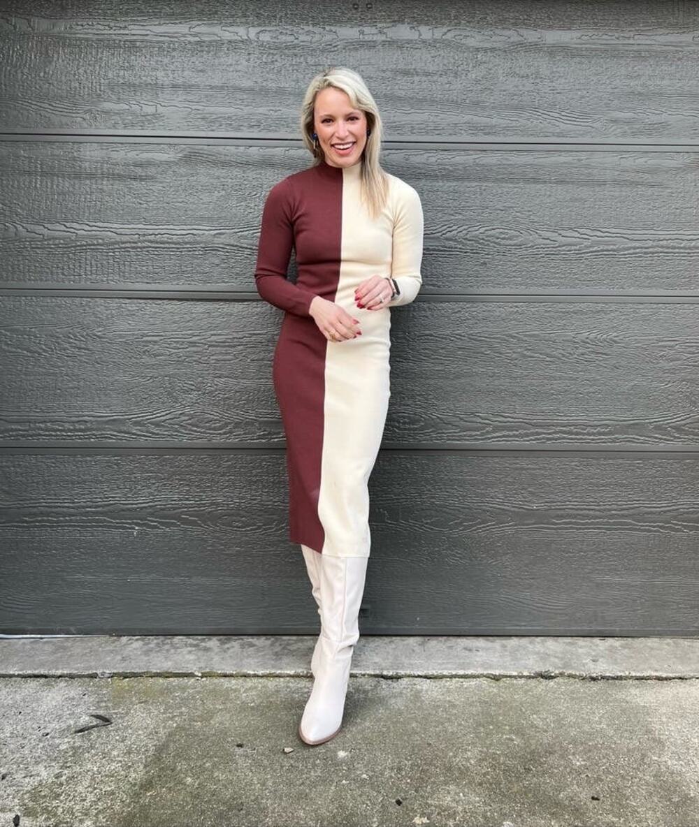 RONNY KOBO COLLECTIVE Brown White Colorblock Knit Sweater Dress Size XL